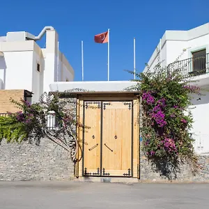 Salinas Bodrum-boutique Concept 3*, Gumbet Turkey